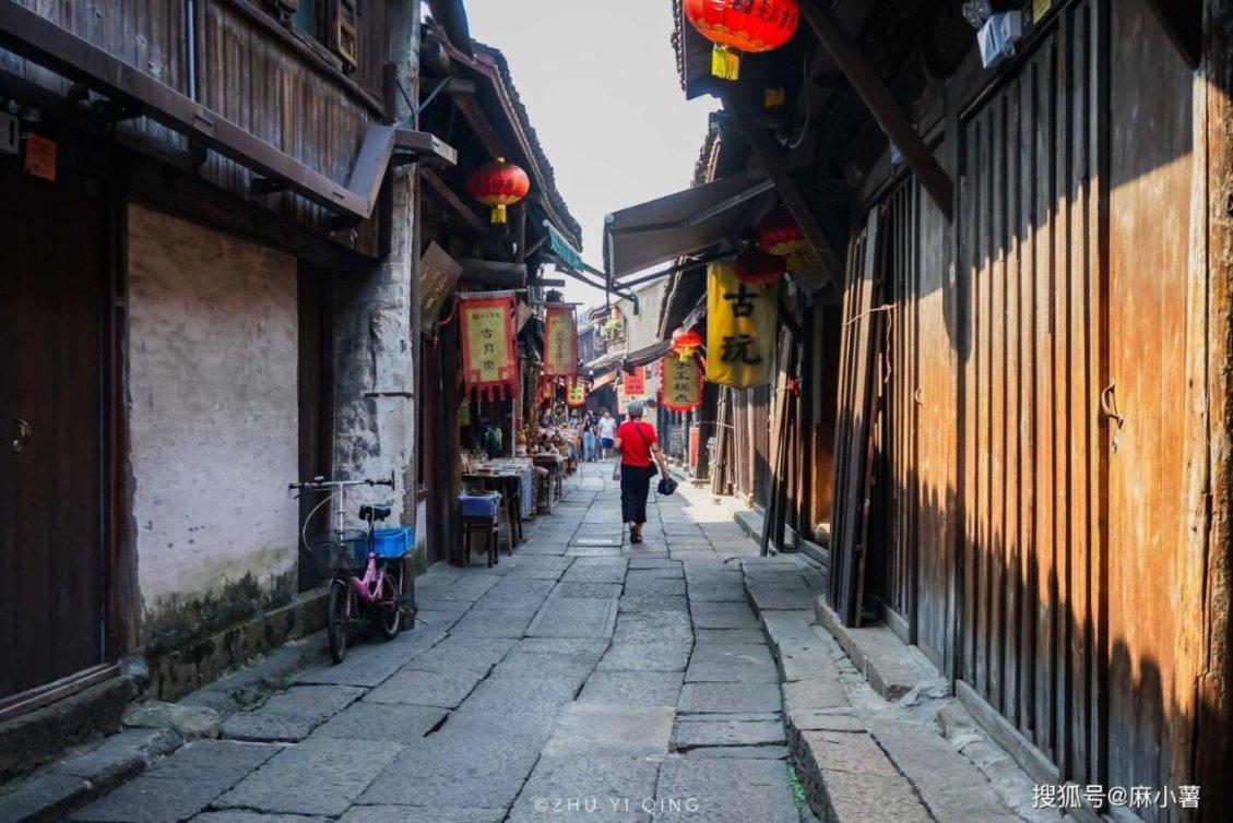 小僵尸射飞鸟